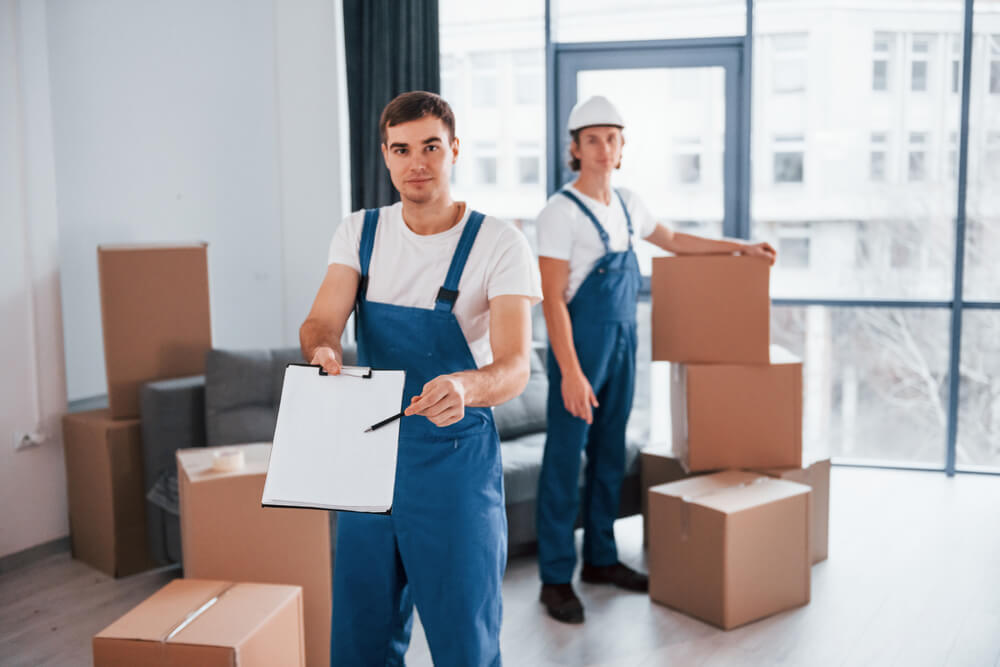 Professional Packing And Moving Solutions
